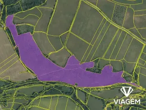 Prodej podílu lesa, Ždírec, 58800 m2