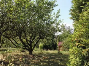 Prodej zahrady, Těšovice, 506 m2