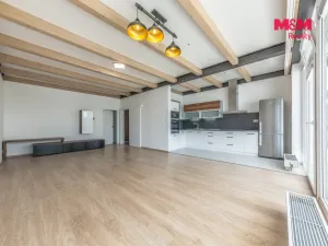 Pronájem bytu 3+kk, Praha - Březiněves, Pěnkaví, 110 m2