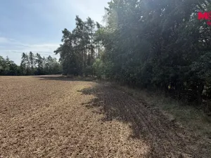 Prodej pole, Úštěk, 8460 m2