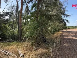 Prodej pole, Úštěk, 8460 m2