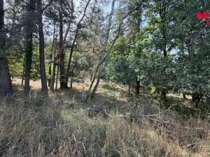 Prodej pole, Úštěk, 8460 m2