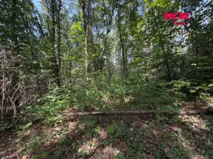 Prodej pole, Úštěk, 8460 m2