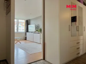 Prodej bytu 3+1, Most, Františka Malíka, 68 m2