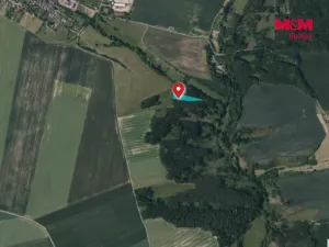 Prodej lesa, Břežany, 5988 m2