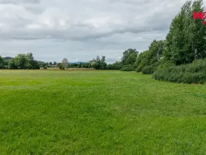 Prodej louky, Jestřebí, 14822 m2