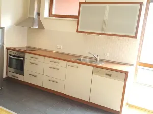 Pronájem bytu 2+kk, Praha - Podolí, Nedvědovo náměstí, 51 m2