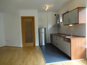 Pronájem bytu 2+kk, Praha - Podolí, Nedvědovo náměstí, 51 m2