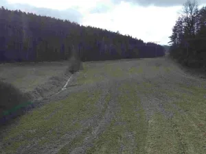 Dražba pole, Horšovský Týn, 385 m2