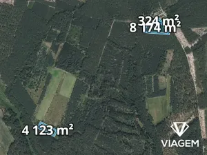 Prodej podílu lesa, Bělá pod Bezdězem, 2524 m2