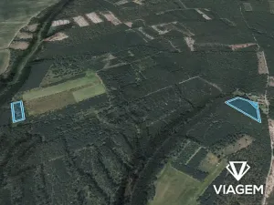 Prodej podílu lesa, Bělá pod Bezdězem, 2524 m2