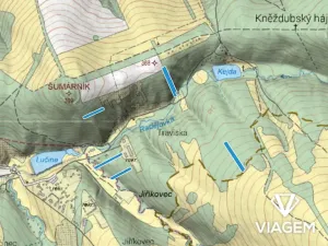 Prodej lesa, Kněždub, 3980 m2