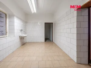 Prodej rodinného domu, Týnec nad Labem, Havlíčkova, 207 m2