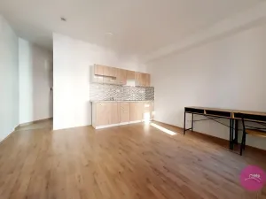 Pronájem bytu 1+kk, Olomouc, Uhelná, 35 m2