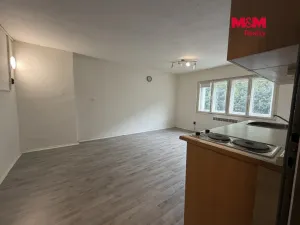 Prodej bytu 1+kk, Benešov nad Ploučnicí, Nádražní, 23 m2