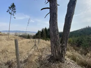 Prodej louky, Městečko Trnávka - Lázy, 1410 m2