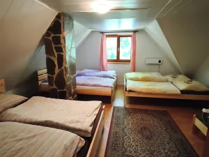 Prodej chalupy, Staré Město pod Landštejnem, 107 m2