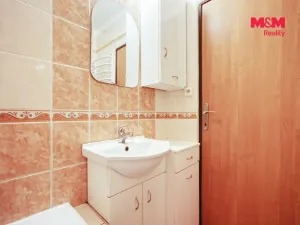 Pronájem bytu 1+1, Plasy, Potoční, 42 m2