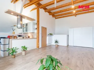 Pronájem bytu 3+kk, Františkovy Lázně - Dlouhé Mosty, 128 m2