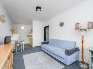 Prodej bytu 2+kk, Teplice, V závětří, 41 m2