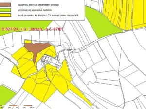 Prodej podílu lesa, Lidmaň, 9702 m2