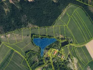 Prodej podílu lesa, Lidmaň, 9702 m2