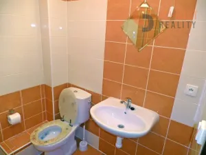 Pronájem bytu 1+1, Břeclav, Kpt. Jaroše, 37 m2