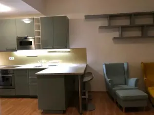 Pronájem bytu 1+kk, Brno, Koliště, 32 m2