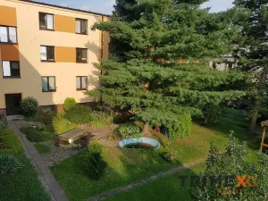 Pronájem bytu 2+1, Ostrava - Hrabůvka, Moravská, 50 m2