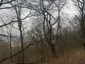 Prodej lesa, Ústí nad Labem, 36788 m2