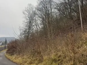 Prodej lesa, Ústí nad Labem, 36788 m2