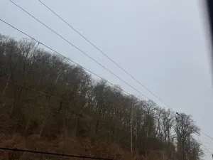 Prodej lesa, Ústí nad Labem, 36788 m2