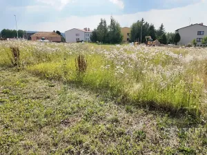 Prodej pozemku pro bydlení, Polná, 706 m2