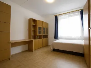 Prodej bytu 3+1, České Budějovice, V. Volfa, 73 m2