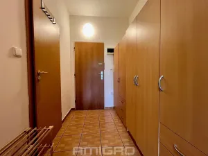 Pronájem bytu 1+kk, Brno, Božetěchova, 32 m2