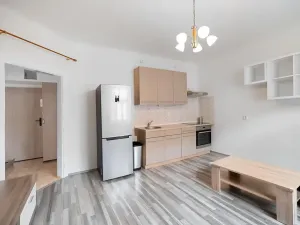 Pronájem bytu 2+kk, Praha - Žižkov, Biskupcova, 41 m2