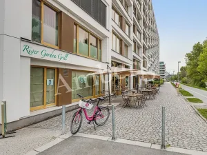 Pronájem bytu 1+kk, Praha - Karlín, Breitfeldova, 38 m2
