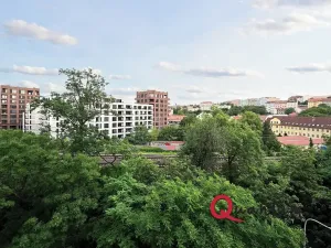 Pronájem bytu 1+kk, Praha - Vinohrady, Fričova, 32 m2