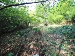 Prodej pozemku pro bydlení, Psáry, 1000 m2