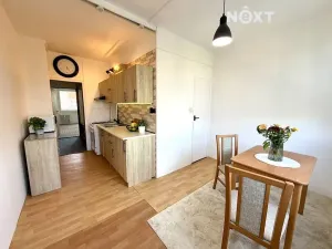 Pronájem bytu 2+1, České Budějovice, Mánesova, 61 m2