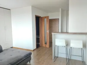Pronájem bytu 1+kk, Plzeň, Sokolovská, 35 m2
