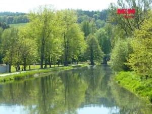 Prodej louky, Náchod, 20490 m2