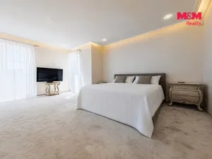 Prodej rodinného domu, Šestajovice, U Váhy, 356 m2
