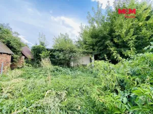 Prodej zahrady, Pavlovice u Kojetína - Unčice, 1843 m2