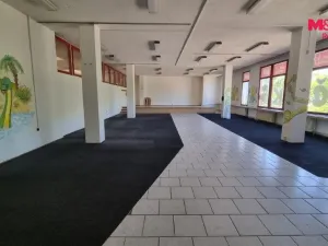 Pronájem obchodního prostoru, Orlová - Lutyně, F. S. Tůmy, 270 m2