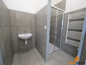 Pronájem obchodního prostoru, Ústí nad Labem, Žižkova, 420 m2