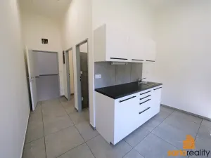 Pronájem obchodního prostoru, Ústí nad Labem, Žižkova, 420 m2