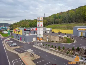 Pronájem obchodního prostoru, Ústí nad Labem, Žižkova, 420 m2