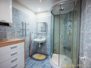 Prodej rodinného domu, Velké Poříčí, V Olšině, 275 m2