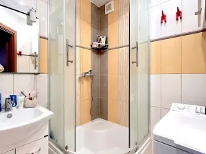 Pronájem bytu 2+1, Brno, Novoměstská, 60 m2